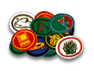 Especialidades de Desbravadores